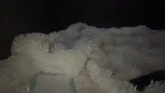 lyna sweet online show from April 16, 10:34 pm