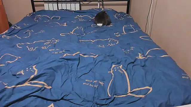 eva zero online show from January 12, 2:55 pm