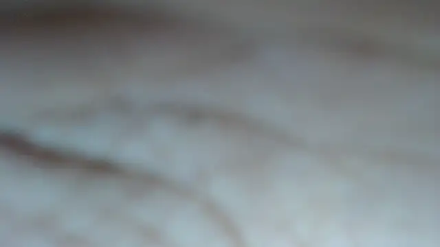 swt shadow online show from March 5, 10:38 pm