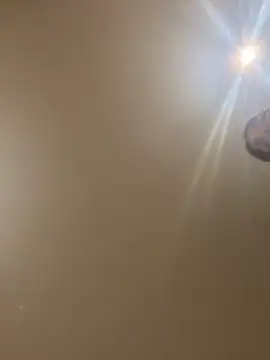 divavirtual11 online show from October 23, 7:03 am