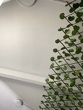 adriscute online show from April 3, 6:17 pm