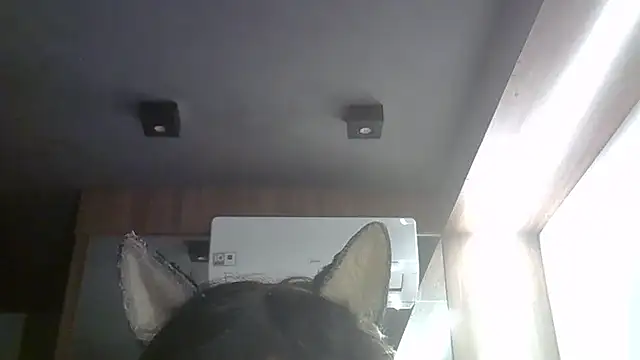 Skinny-Kitten online show from May 22, 2:59 pm