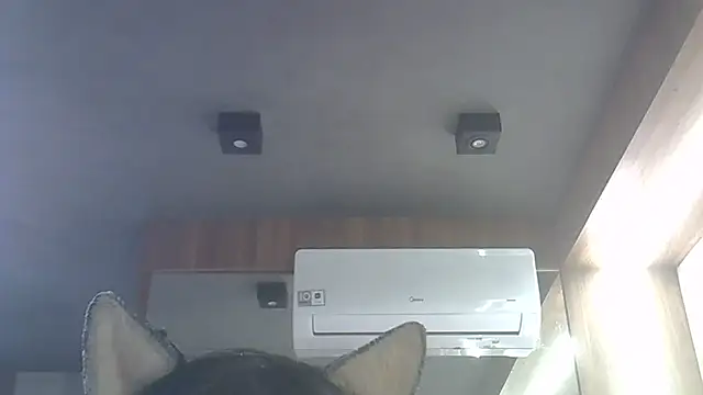 Skinny-Kitten online show from January 16, 4:08 am