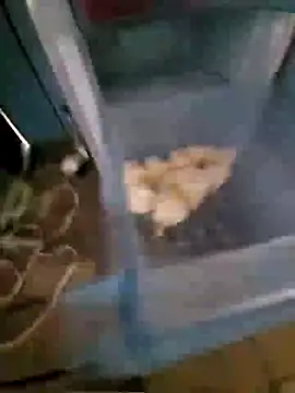 Evehamp online show from January 10, 8:02 pm